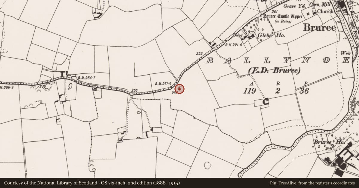 Ordnance Survey six-inch map, 2nd edition (1888–1915) covering the location of Castle - motte, Ballynoe, County Limerick, with a pin at the register's coordinates
