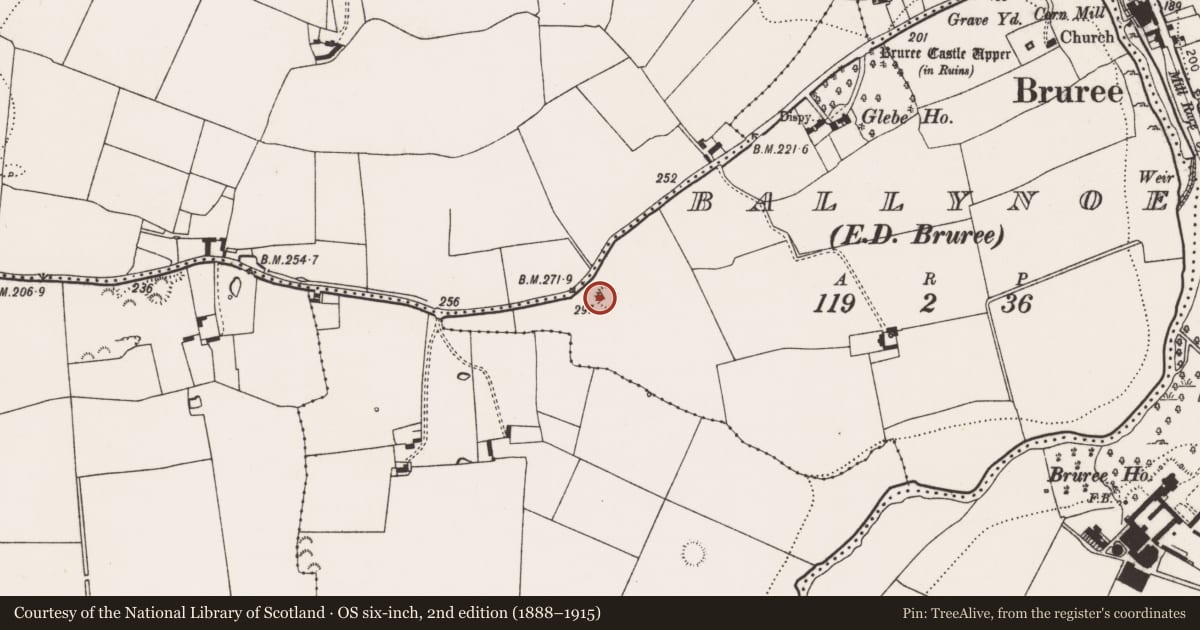 Ordnance Survey six-inch map, 2nd edition (1888–1915) covering the location of Standing stone, Ballynoe, County Limerick, with a pin at the register's coordinates