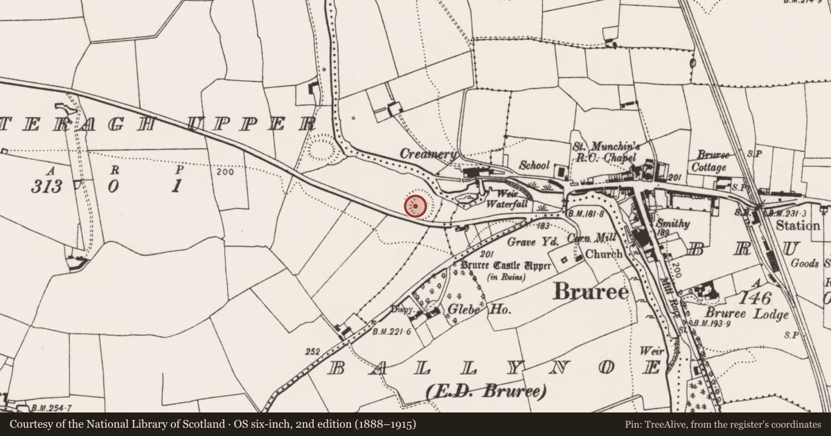 Ordnance Survey six-inch map, 2nd edition (1888–1915) covering the location of Ringfort - rath, Lotteragh Upper, County Limerick, with a pin at the register's coordinates
