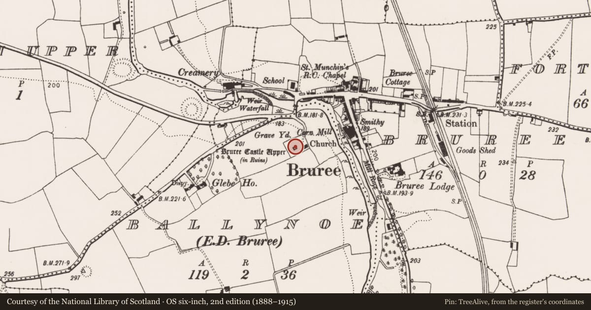Ordnance Survey six-inch map, 2nd edition (1888–1915) covering the location of Graveyard, Ballynoe, County Limerick, with a pin at the register's coordinates