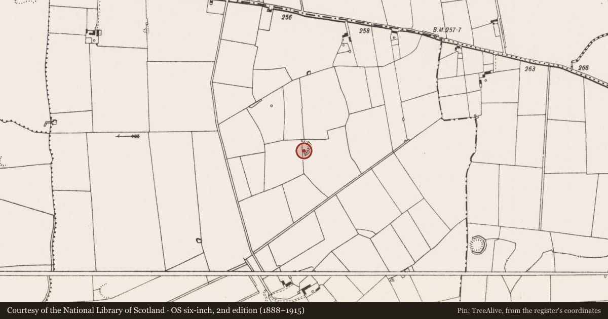 Ordnance Survey six-inch map, 2nd edition (1888–1915) covering the location of Ringfort - rath, Ballyhinnaught, County Limerick, with a pin at the register's coordinates