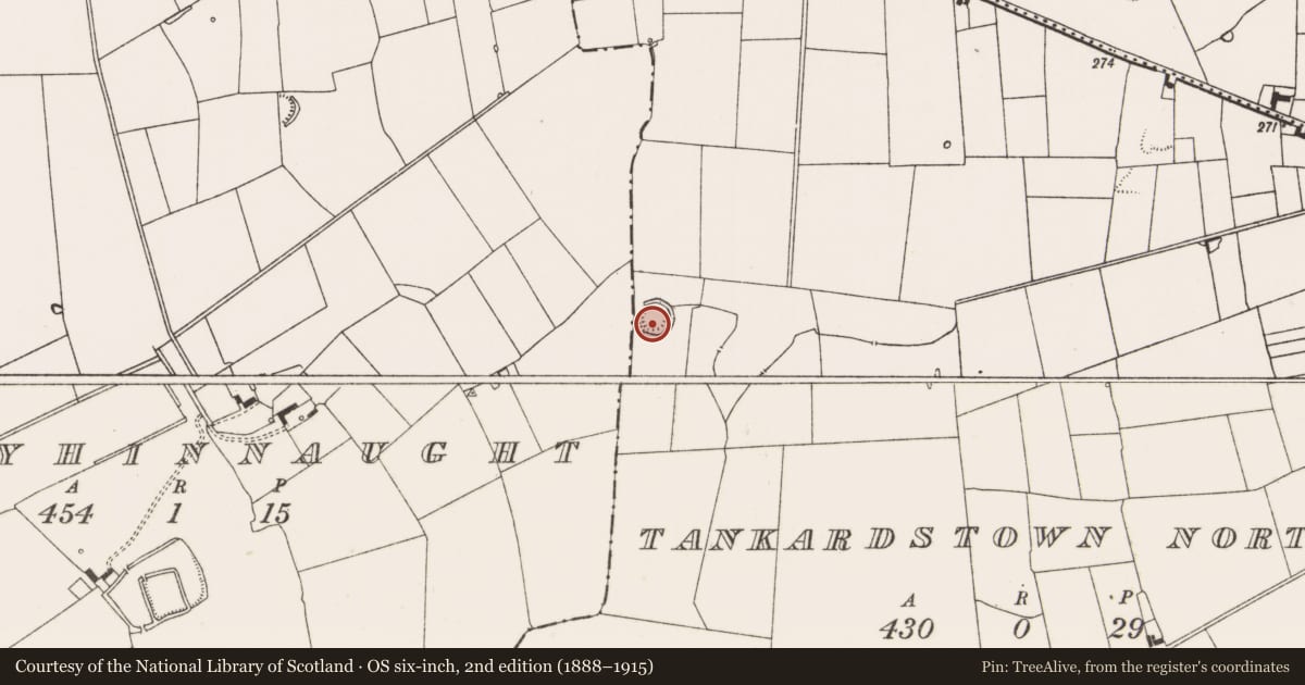 Ordnance Survey six-inch map, 2nd edition (1888–1915) covering the location of Ringfort - rath, Tankardstown North, County Limerick, with a pin at the register's coordinates