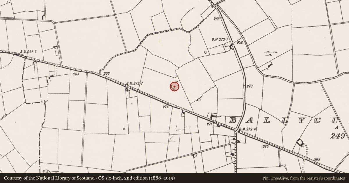 Ordnance Survey six-inch map, 2nd edition (1888–1915) covering the location of Ringfort - rath, Ballygubba North, County Limerick, with a pin at the register's coordinates