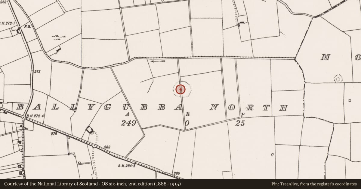 Ordnance Survey six-inch map, 2nd edition (1888–1915) covering the location of Earthwork, Ballygubba North, County Limerick, with a pin at the register's coordinates