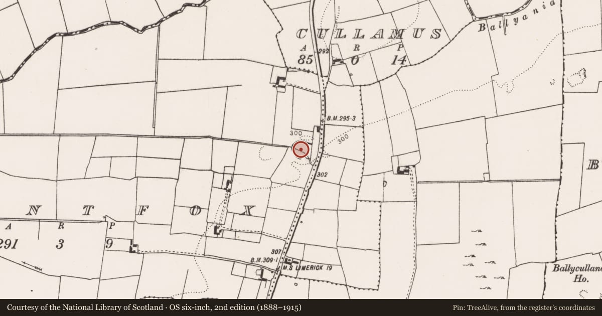 Ordnance Survey six-inch map, 2nd edition (1888–1915) covering the location of Quarry, Mountfox, County Limerick, with a pin at the register's coordinates