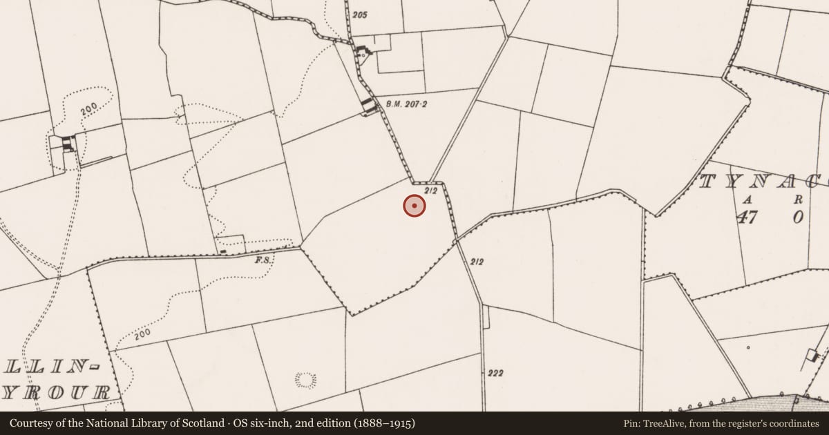 Ordnance Survey six-inch map, 2nd edition (1888–1915) covering the location of Enclosure, Ballingayrour, County Limerick, with a pin at the register's coordinates