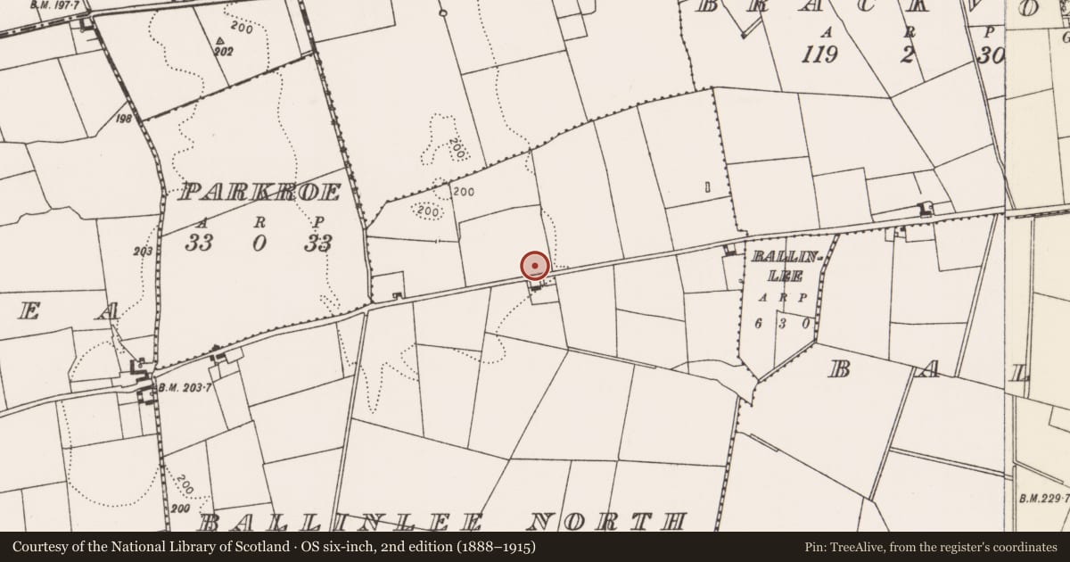 Ordnance Survey six-inch map, 2nd edition (1888–1915) covering the location of Fulacht fia, Ballinlee North, County Limerick, with a pin at the register's coordinates