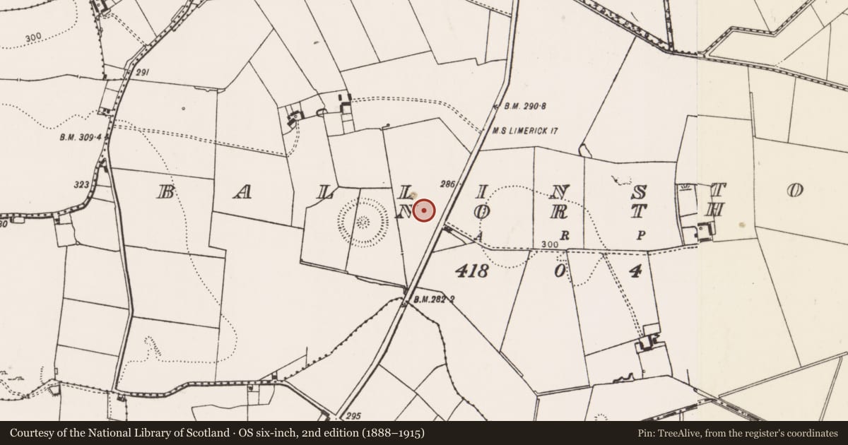 Ordnance Survey six-inch map, 2nd edition (1888–1915) covering the location of Earthwork, Ballinstona North, County Limerick, with a pin at the register's coordinates