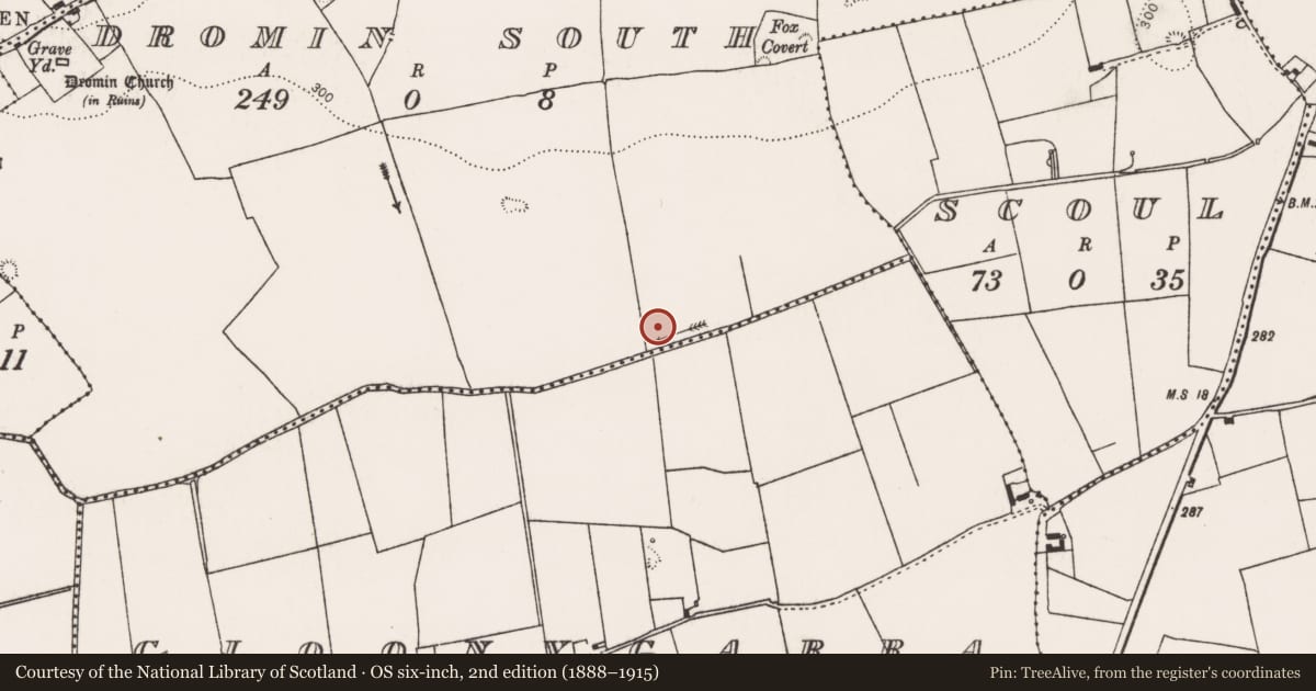 Ordnance Survey six-inch map, 2nd edition (1888–1915) covering the location of Barrow - unclassified, Dromin South, County Limerick, with a pin at the register's coordinates
