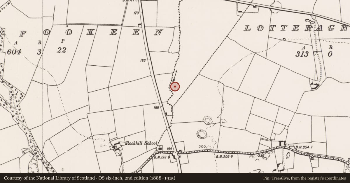 Ordnance Survey six-inch map, 2nd edition (1888–1915) covering the location of Ringfort - rath, Lotteragh Lower, County Limerick, with a pin at the register's coordinates