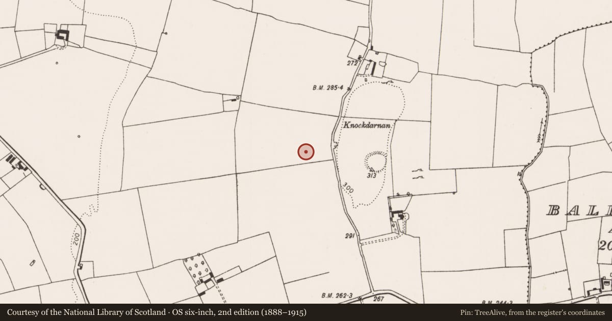 Ordnance Survey six-inch map, 2nd edition (1888–1915) covering the location of Standing stone, Rathcannon, County Limerick, with a pin at the register's coordinates