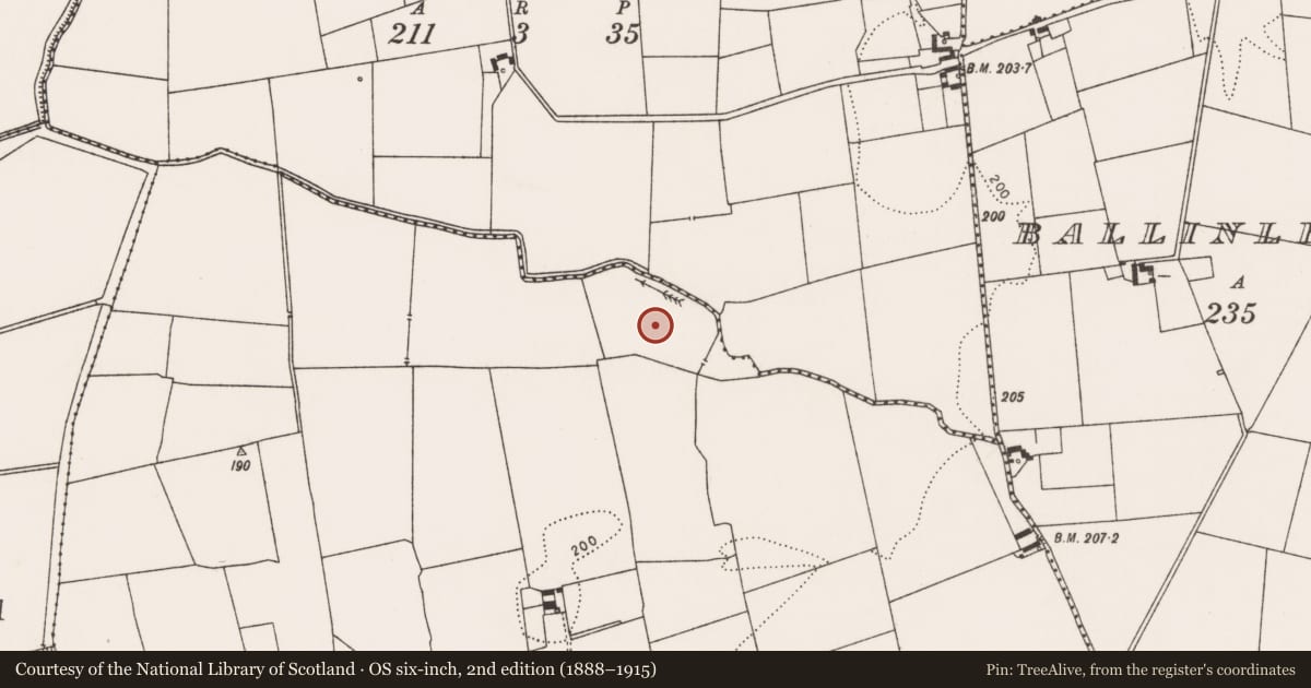 Ordnance Survey six-inch map, 2nd edition (1888–1915) covering the location of Earthwork, Ballingayrour, County Limerick, with a pin at the register's coordinates