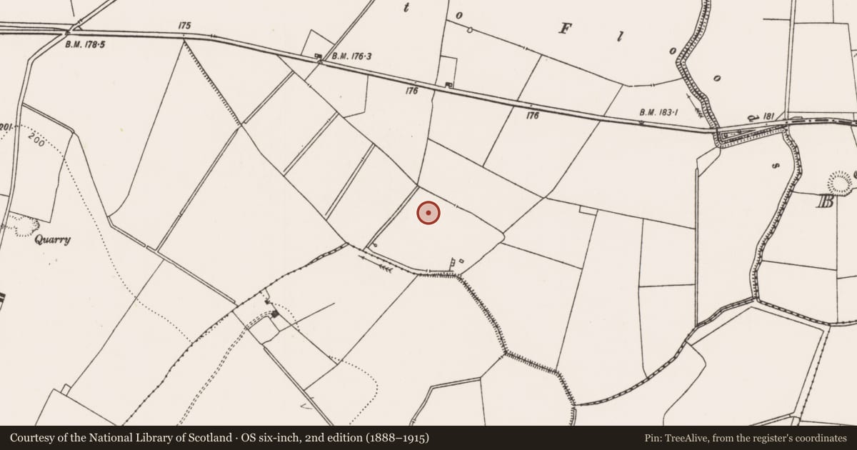 Ordnance Survey six-inch map, 2nd edition (1888–1915) covering the location of Earthwork, Rathcannon, County Limerick, with a pin at the register's coordinates