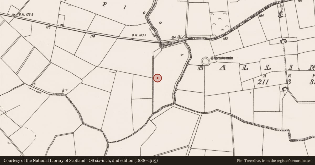 Ordnance Survey six-inch map, 2nd edition (1888–1915) covering the location of Earthwork, Rathcannon, County Limerick, with a pin at the register's coordinates