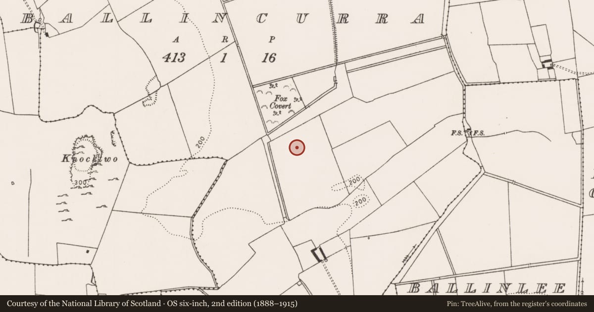 Ordnance Survey six-inch map, 2nd edition (1888–1915) covering the location of Earthwork, Ballincurra, County Limerick, with a pin at the register's coordinates