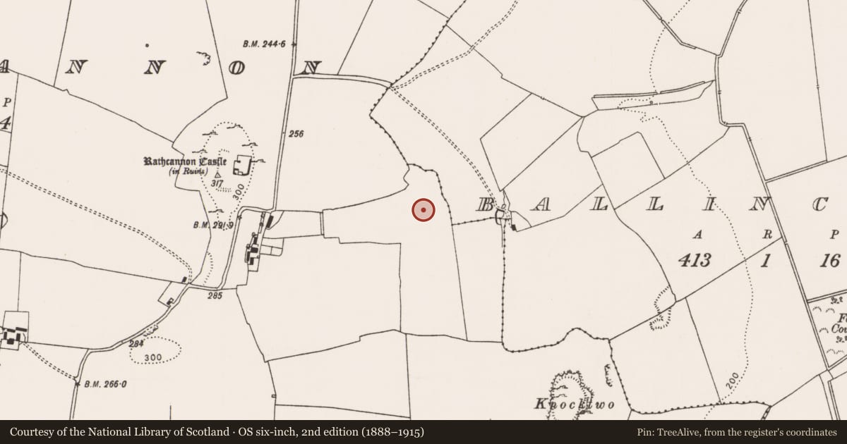 Ordnance Survey six-inch map, 2nd edition (1888–1915) covering the location of Enclosure, Rathcannon, County Limerick, with a pin at the register's coordinates