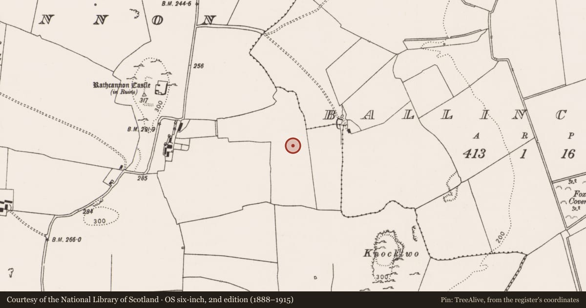 Ordnance Survey six-inch map, 2nd edition (1888–1915) covering the location of Enclosure, Rathcannon, County Limerick, with a pin at the register's coordinates