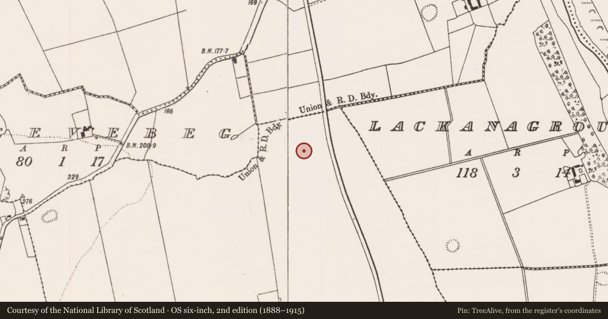 Ordnance Survey six-inch map, 2nd edition (1888–1915) covering the location of Enclosure, Harding Grove, County Limerick, with a pin at the register's coordinates