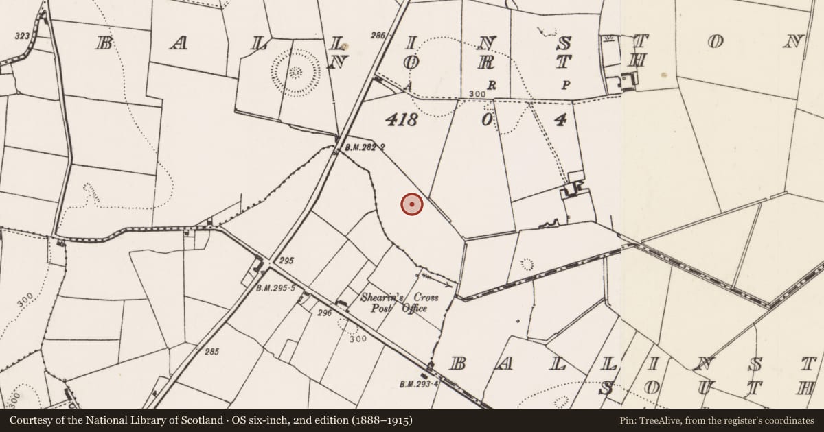 Ordnance Survey six-inch map, 2nd edition (1888–1915) covering the location of Barrow - ditch barrow, Ballinstona North, County Limerick, with a pin at the register's coordinates