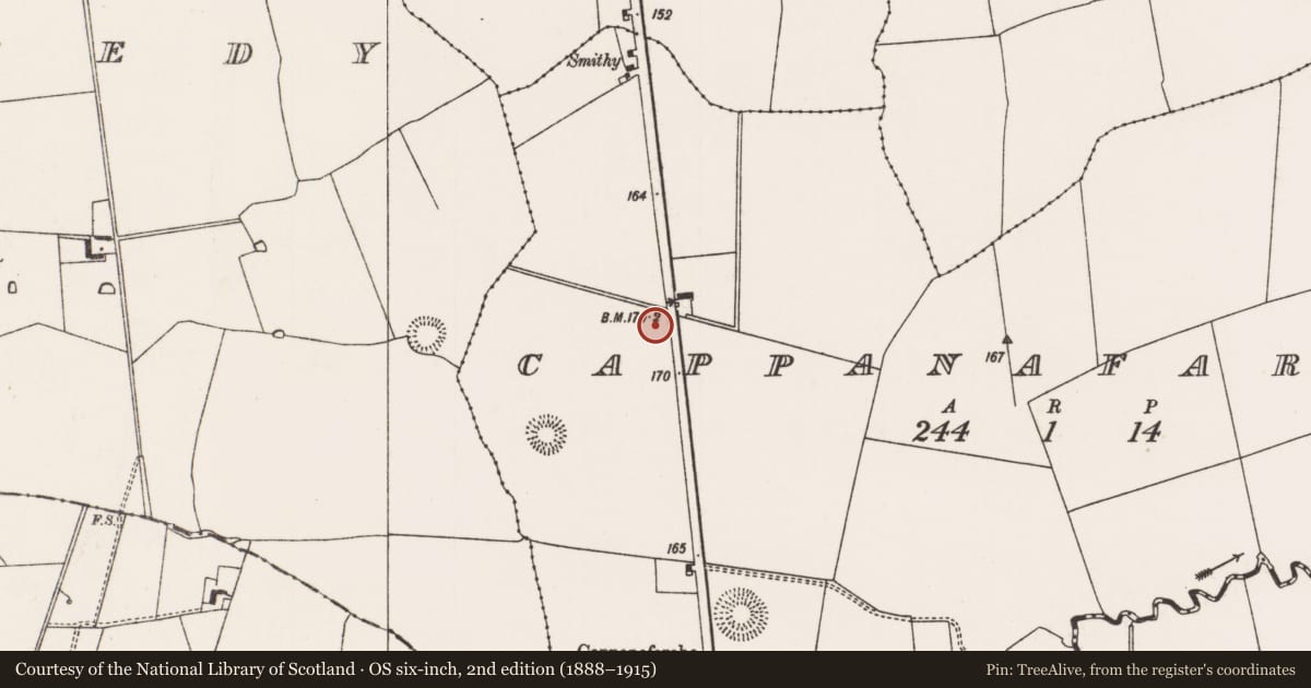 Ordnance Survey six-inch map, 2nd edition (1888–1915) covering the location of Earthwork, Cappanafaraha, County Limerick, with a pin at the register's coordinates