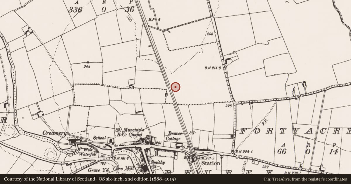 Ordnance Survey six-inch map, 2nd edition (1888–1915) covering the location of Enclosure, Knockfenora, County Limerick, with a pin at the register's coordinates