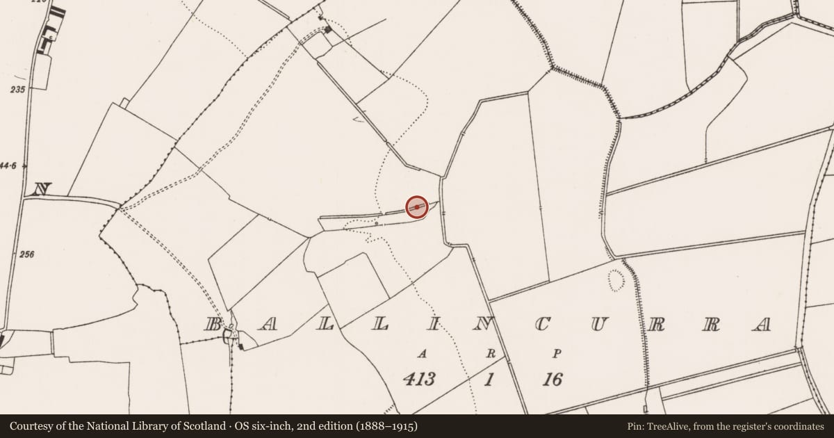Ordnance Survey six-inch map, 2nd edition (1888–1915) covering the location of Hearth, Ballincurra, County Limerick, with a pin at the register's coordinates