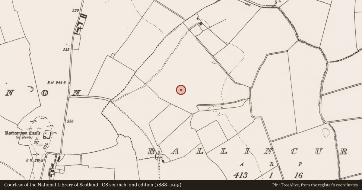 Ordnance Survey six-inch map, 2nd edition (1888–1915) covering the location of Excavation - miscellaneous, Ballincurra, County Limerick, with a pin at the register's coordinates