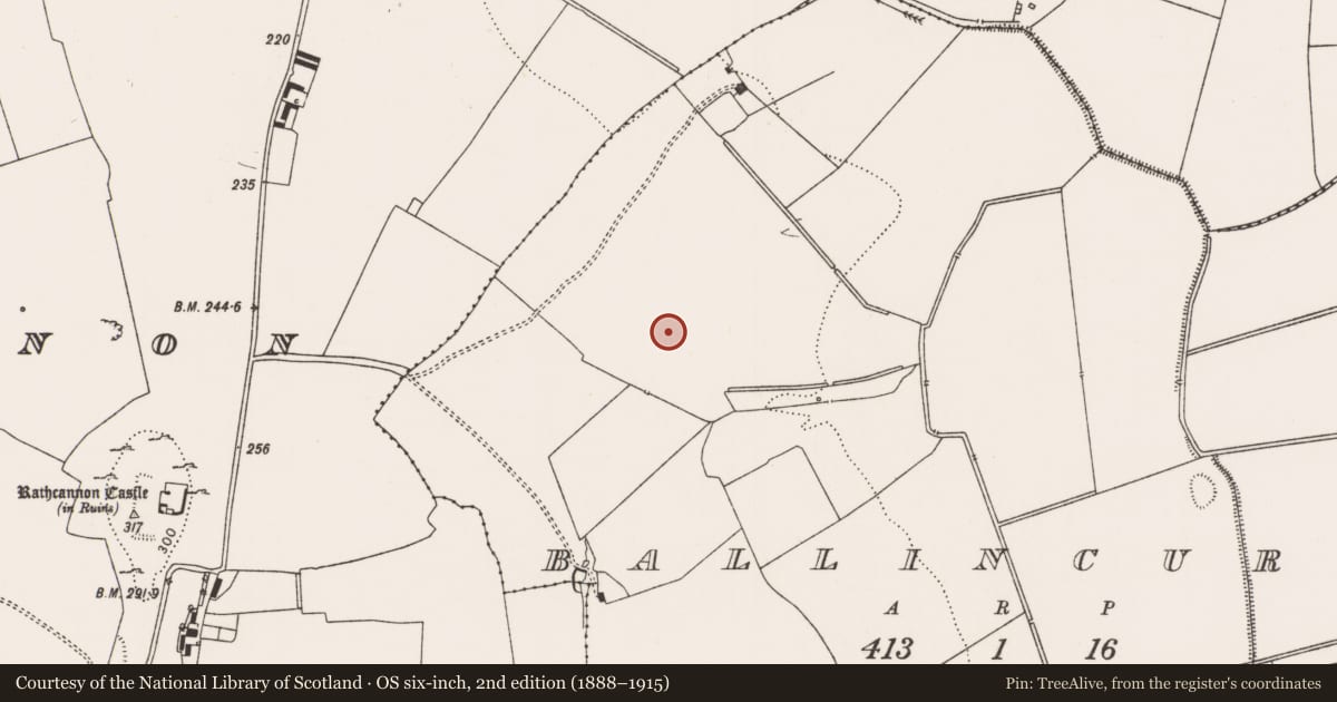 Ordnance Survey six-inch map, 2nd edition (1888–1915) covering the location of Excavation - miscellaneous, Ballincurra, County Limerick, with a pin at the register's coordinates