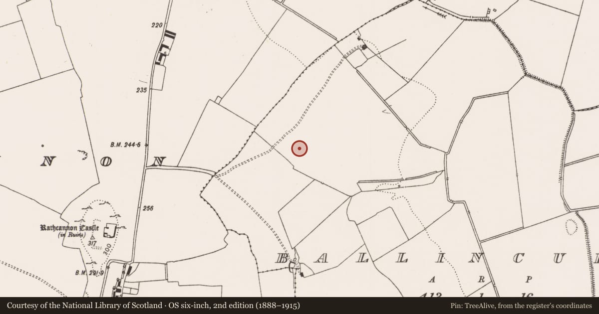 Ordnance Survey six-inch map, 2nd edition (1888–1915) covering the location of Pit, Ballincurra, County Limerick, with a pin at the register's coordinates