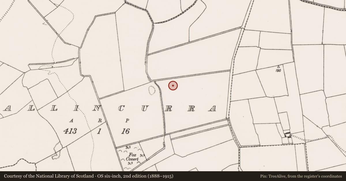 Ordnance Survey six-inch map, 2nd edition (1888–1915) covering the location of House - Bronze Age, Ballincurra, County Limerick, with a pin at the register's coordinates
