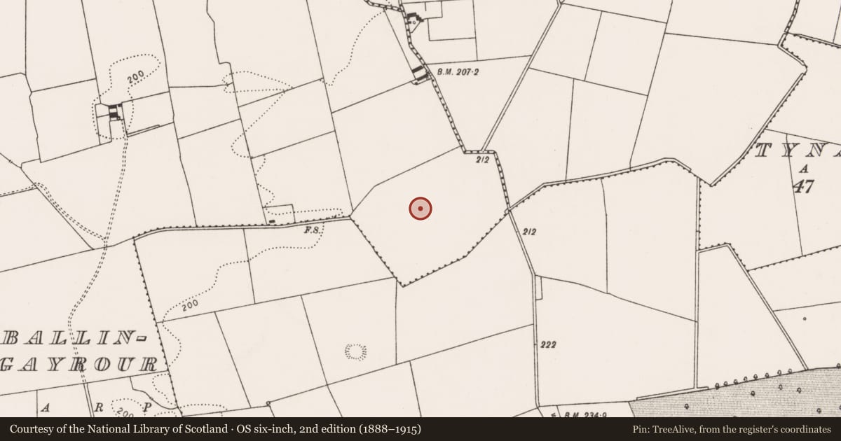 Ordnance Survey six-inch map, 2nd edition (1888–1915) covering the location of Excavation - miscellaneous, Ballingayrour, County Limerick, with a pin at the register's coordinates