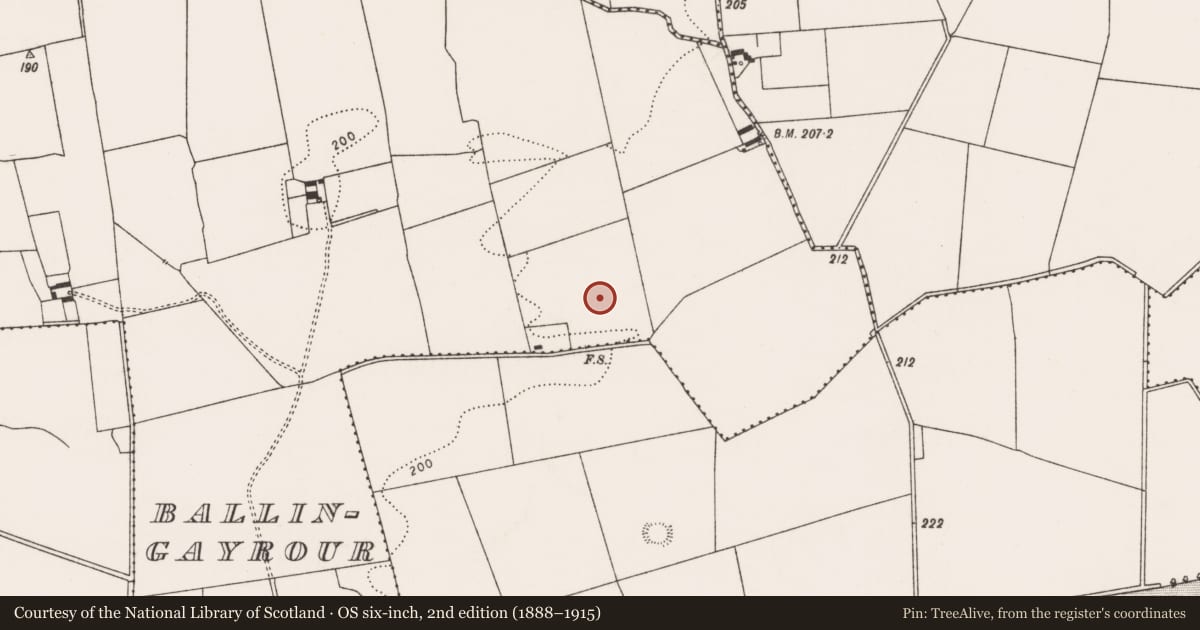 Ordnance Survey six-inch map, 2nd edition (1888–1915) covering the location of Excavation - miscellaneous, Ballingayrour, County Limerick, with a pin at the register's coordinates