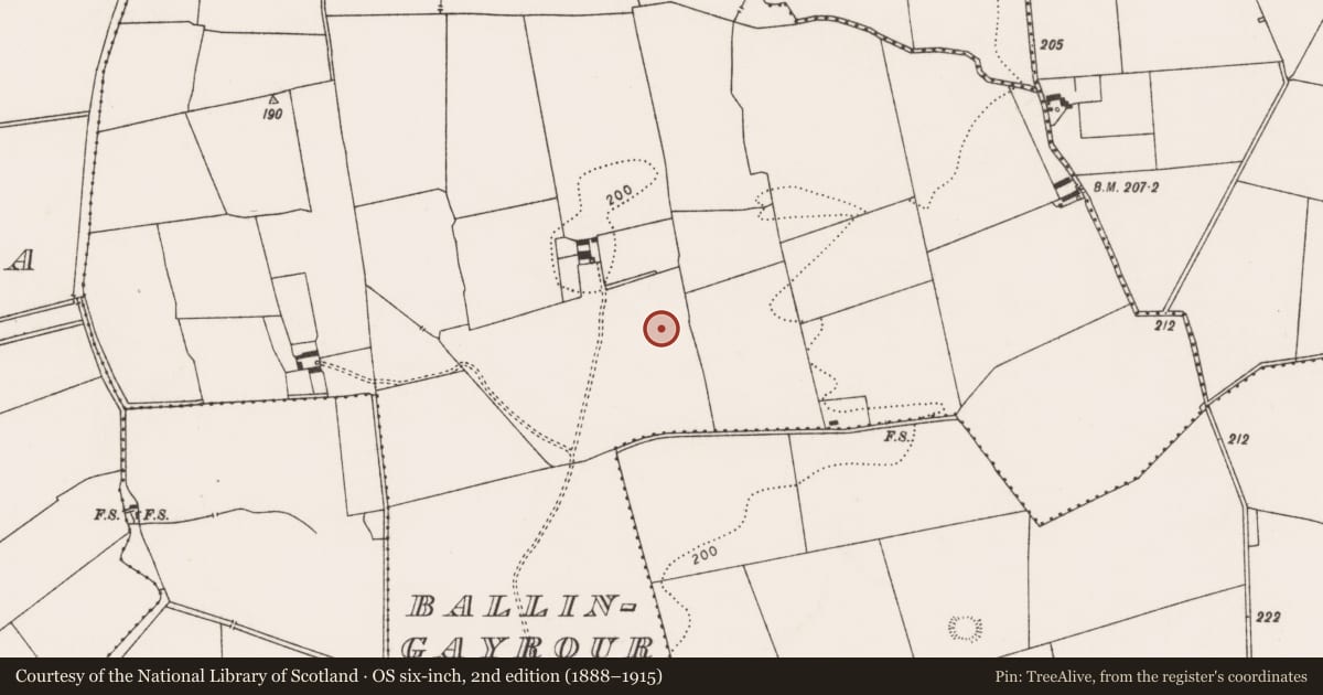 Ordnance Survey six-inch map, 2nd edition (1888–1915) covering the location of Excavation - miscellaneous, Ballingayrour, County Limerick, with a pin at the register's coordinates