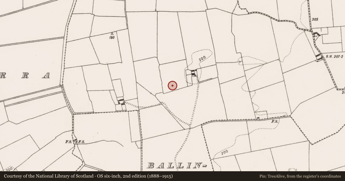 Ordnance Survey six-inch map, 2nd edition (1888–1915) covering the location of Excavation - miscellaneous, Ballingayrour, County Limerick, with a pin at the register's coordinates