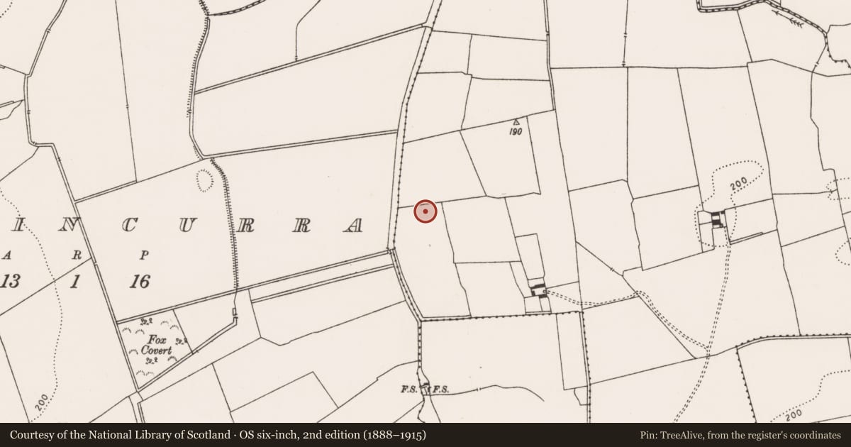 Ordnance Survey six-inch map, 2nd edition (1888–1915) covering the location of Excavation - miscellaneous, Ballingayrour, County Limerick, with a pin at the register's coordinates