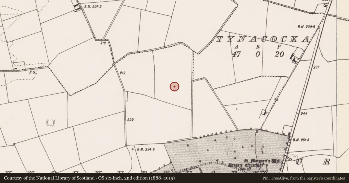 Ordnance Survey six-inch map, 2nd edition (1888–1915) covering the location of Excavation - miscellaneous, Knockuregare, County Limerick, with a pin at the register's coordinates
