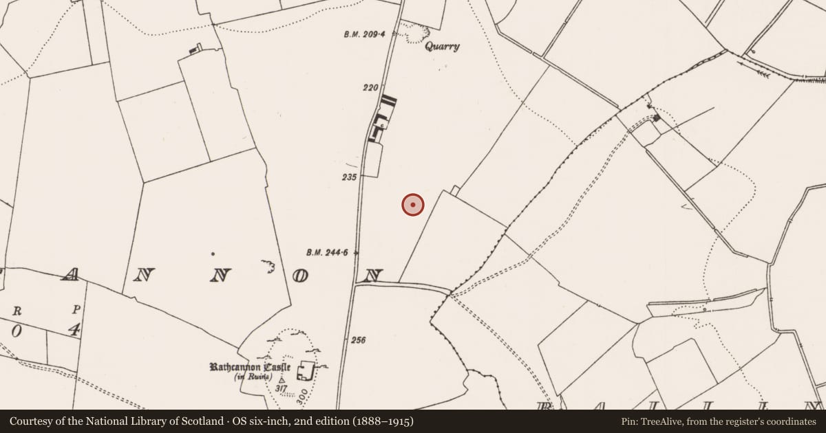 Ordnance Survey six-inch map, 2nd edition (1888–1915) covering the location of Excavation - miscellaneous, Rathcannon, County Limerick, with a pin at the register's coordinates