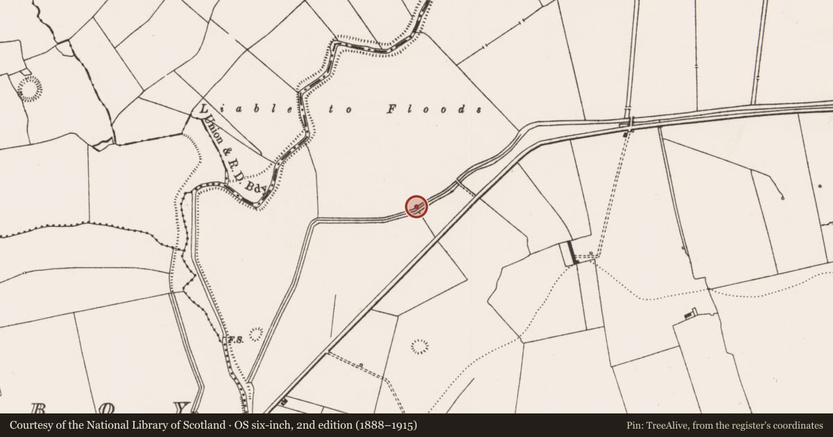 Ordnance Survey six-inch map, 2nd edition (1888–1915) covering the location of Burial, Rathcannon, County Limerick, with a pin at the register's coordinates
