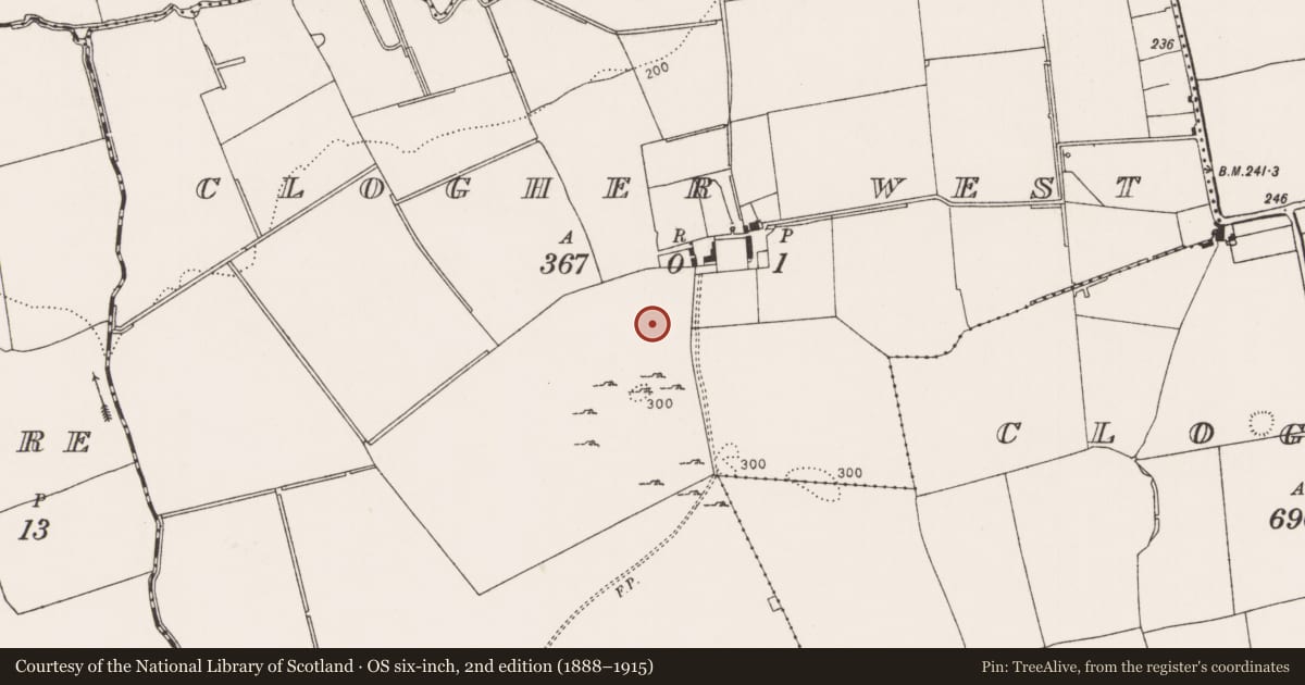 Ordnance Survey six-inch map, 2nd edition (1888–1915) covering the location of Field system, Clogher West, County Limerick, with a pin at the register's coordinates