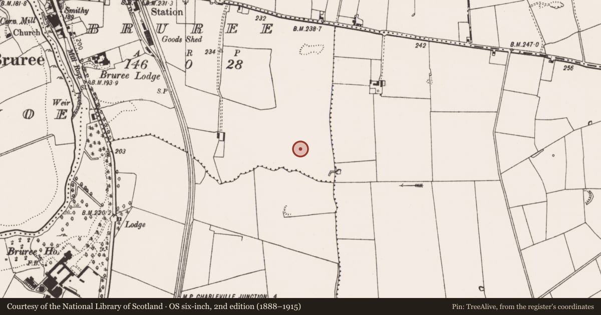 Ordnance Survey six-inch map, 2nd edition (1888–1915) covering the location of Enclosure, Bruree, County Limerick, with a pin at the register's coordinates