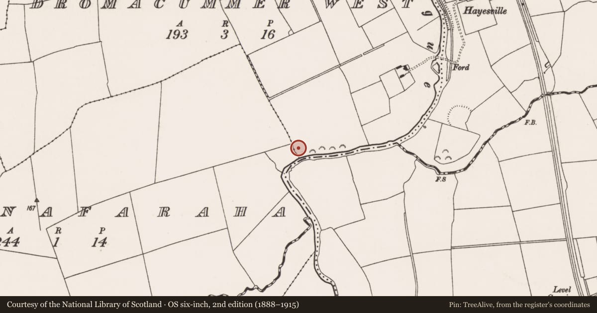 Ordnance Survey six-inch map, 2nd edition (1888–1915) covering the location of Enclosure, Dromacummer West, County Limerick, with a pin at the register's coordinates