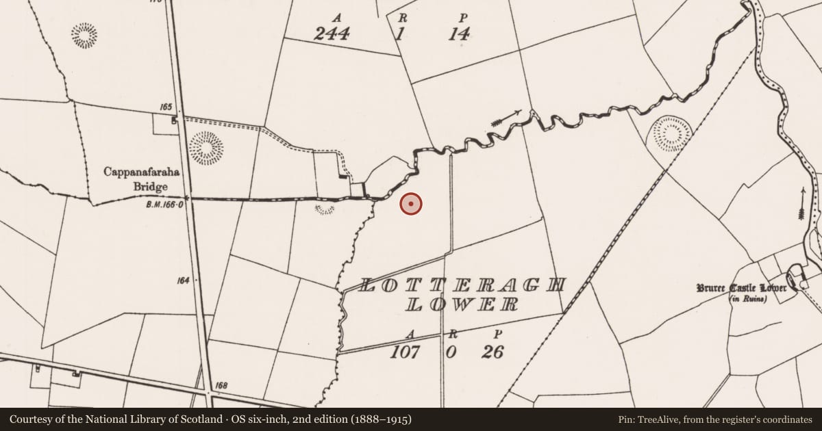 Ordnance Survey six-inch map, 2nd edition (1888–1915) covering the location of Enclosure, Lotteragh Lower, County Limerick, with a pin at the register's coordinates