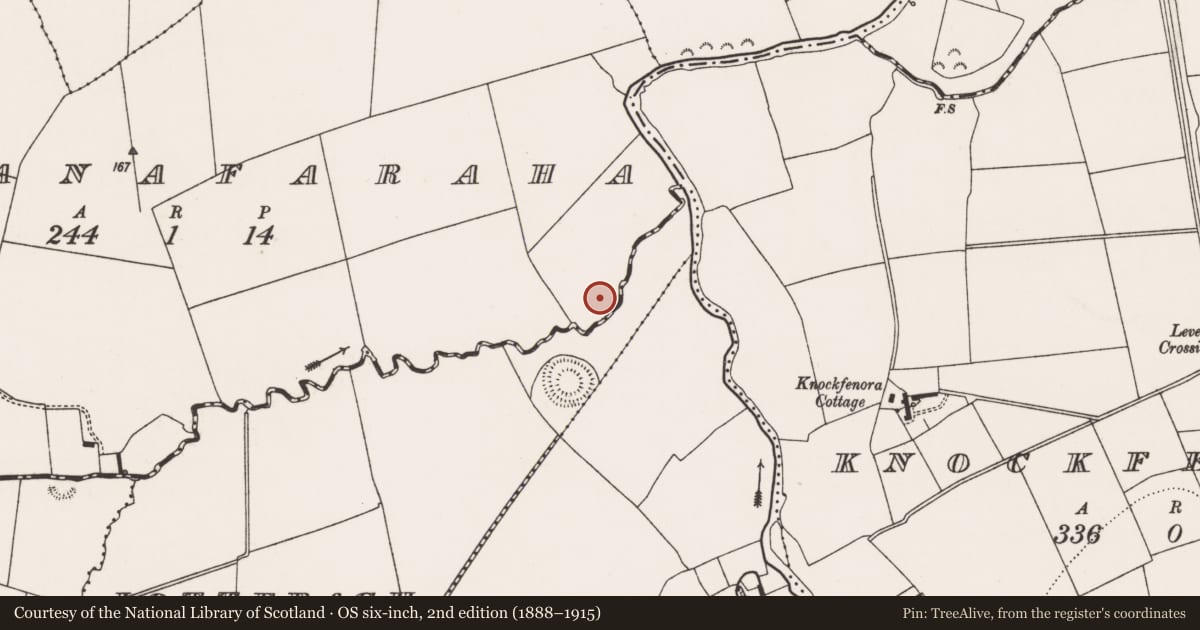 Ordnance Survey six-inch map, 2nd edition (1888–1915) covering the location of Enclosure, Cappanafaraha, County Limerick, with a pin at the register's coordinates