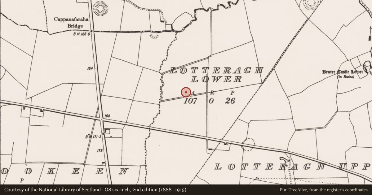 Ordnance Survey six-inch map, 2nd edition (1888–1915) covering the location of Enclosure, Lotteragh Lower, County Limerick, with a pin at the register's coordinates