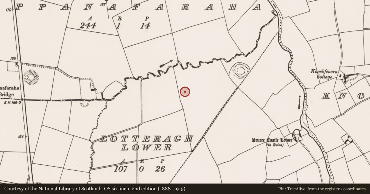 Ordnance Survey six-inch map, 2nd edition (1888–1915) covering the location of Enclosure, Lotteragh Lower, County Limerick, with a pin at the register's coordinates