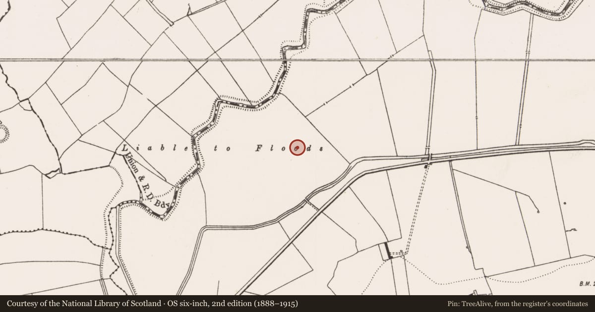 Ordnance Survey six-inch map, 2nd edition (1888–1915) covering the location of Ring-ditch, Rathcannon, County Limerick, with a pin at the register's coordinates