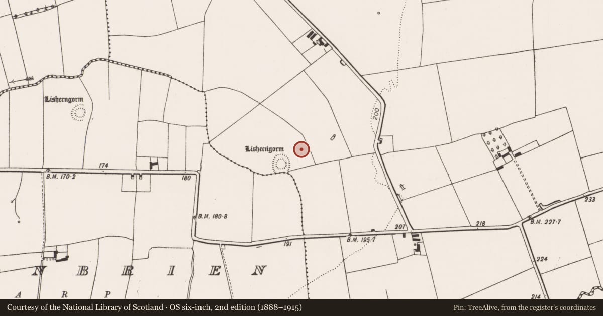 Ordnance Survey six-inch map, 2nd edition (1888–1915) covering the location of Ring-ditch, Rathcannon, County Limerick, with a pin at the register's coordinates