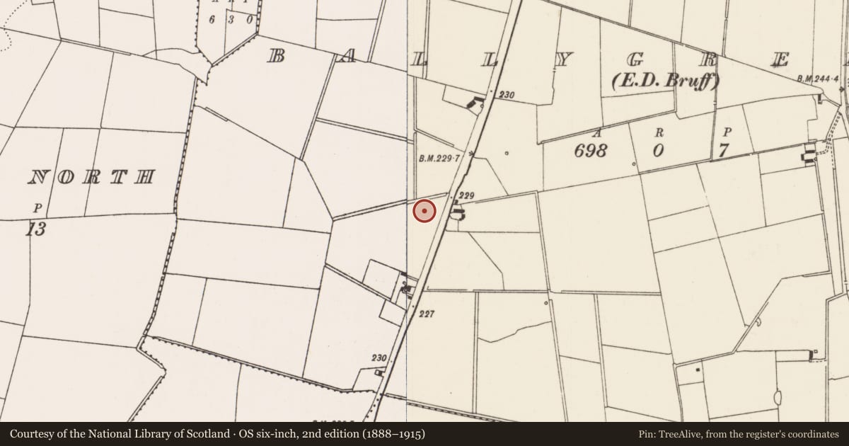 Ordnance Survey six-inch map, 2nd edition (1888–1915) covering the location of Earthwork, Ballygrennan, County Limerick, with a pin at the register's coordinates