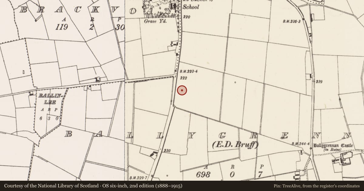 Ordnance Survey six-inch map, 2nd edition (1888–1915) covering the location of Ringfort - rath, Ballygrennan, County Limerick, with a pin at the register's coordinates