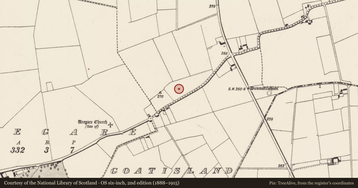 Ordnance Survey six-inch map, 2nd edition (1888–1915) covering the location of Field system, Ballygrennan, County Limerick, with a pin at the register's coordinates